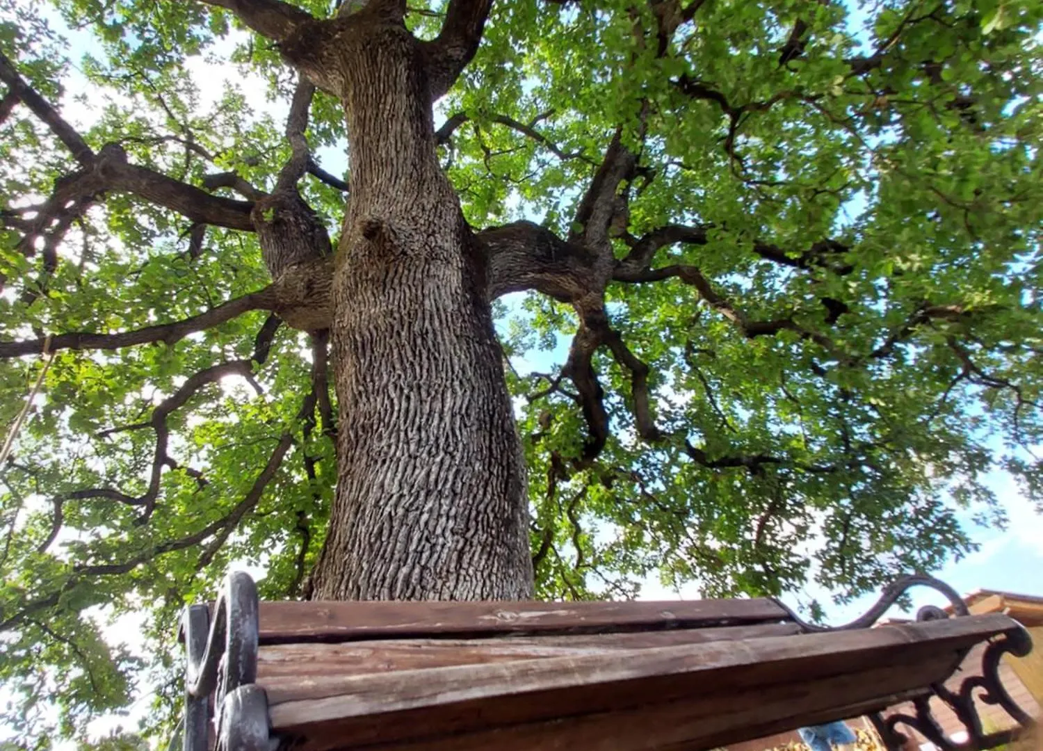 Hotel Wine Glamping Le Sedici Massa Marittima